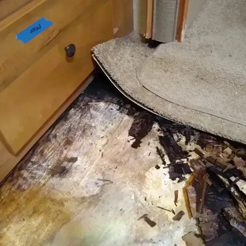 Best Wood Floor Water Damage Service in Felida, WA